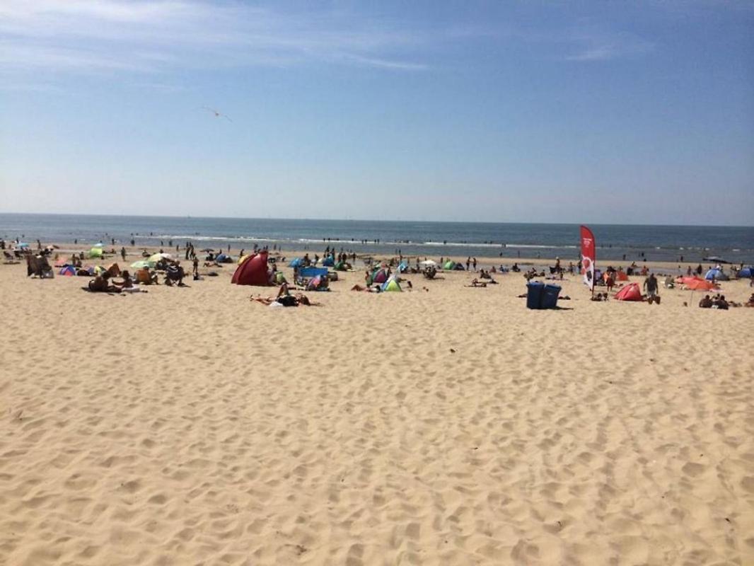 'T Heilige Pad Βίλα Egmond aan Zee Εξωτερικό φωτογραφία